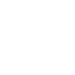 Logo : Wisdom Money